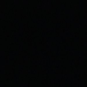 Meet your Posher, Riley